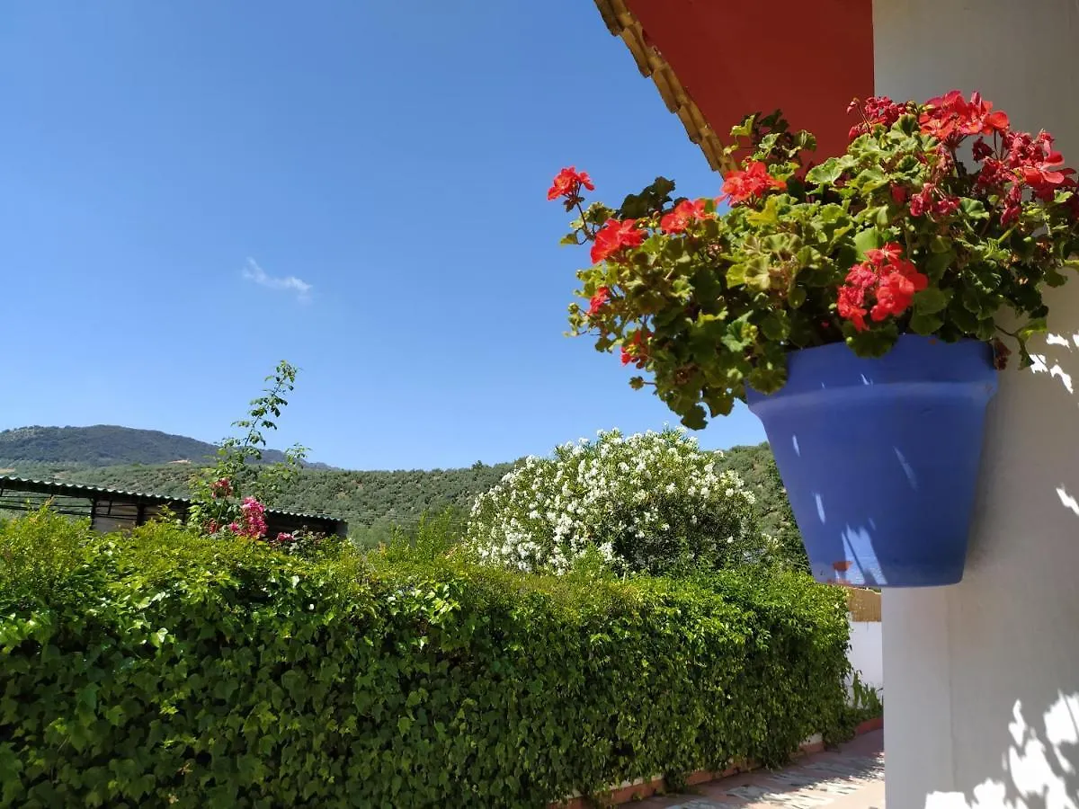 Villa Frasquita Priego De Cordoba Country house